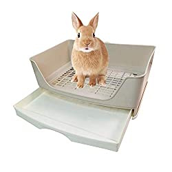 7 بہترین خرگوش لیٹر باکسز (جائزہ اور گائیڈ)