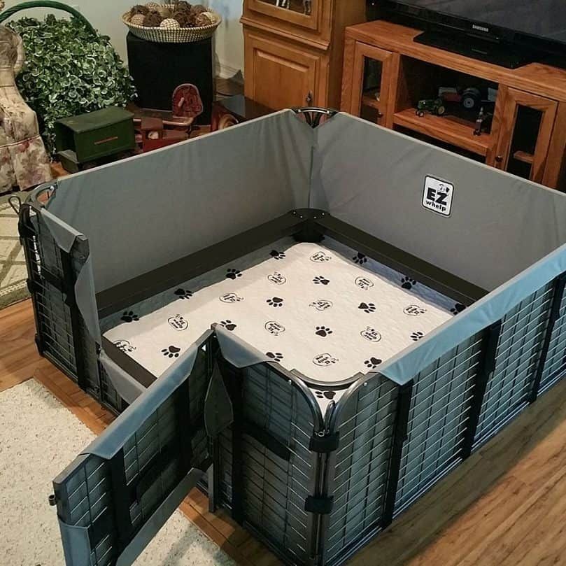Une boîte de mise bas en cage en acier avec une porte et des revêtements lavables