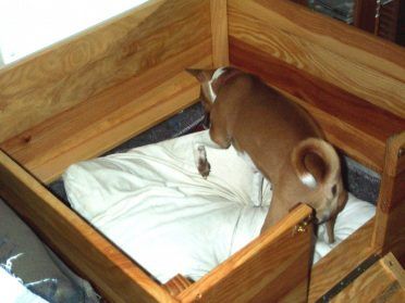 Un chien nichant dans une boîte de mise bas en bois