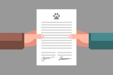Dokumentas rankose. Pasirašyta naminių gyvūnėlių priėmimo ar pardavimo sutartis