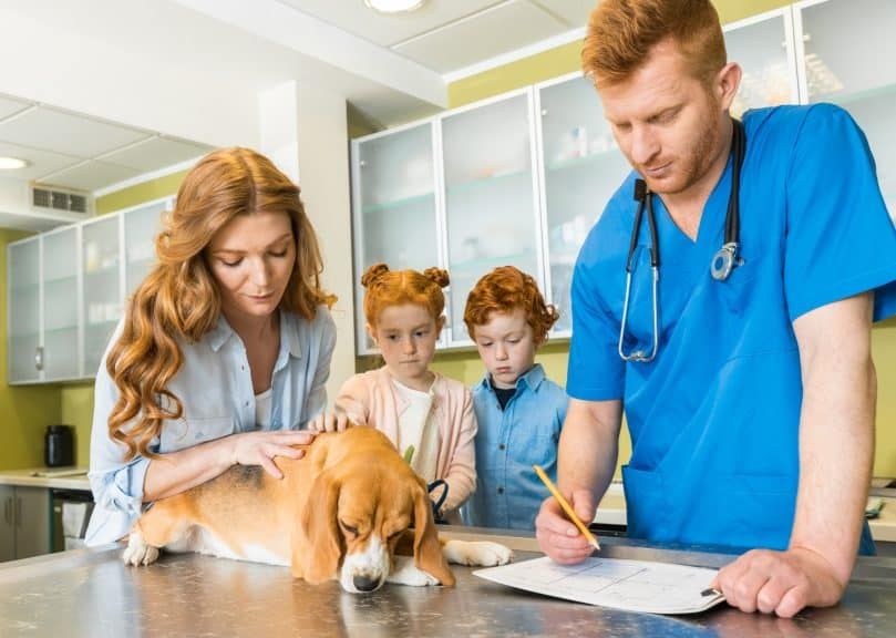 hund besøger dyrlægen med sin menneskelige familie
