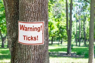 Zīme, kas brīdina par ērcēm kokā