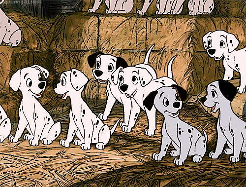 کتے کی 10 خوفناک نسلیں: پولکا ڈاٹڈ پاؤچ!