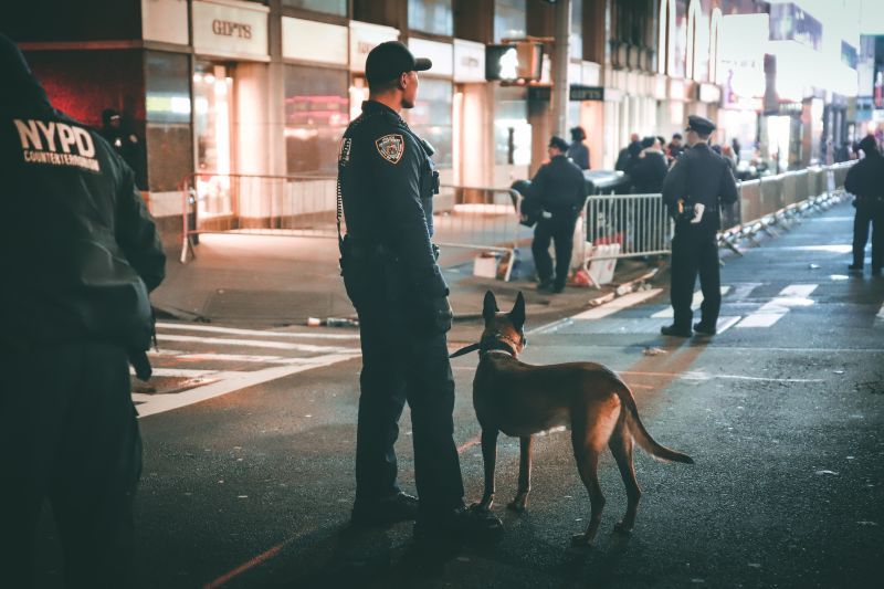 обикновени полицейски породи кучета