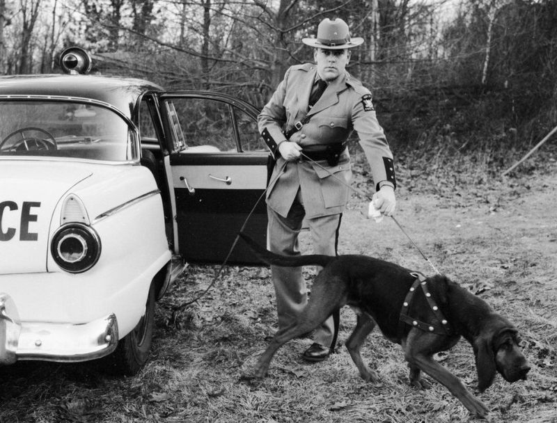 Geschichte der Polizeihunde