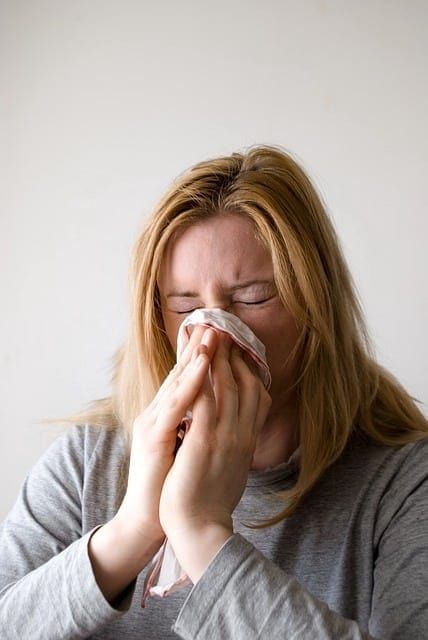 comment soigner les allergies aux chiens
