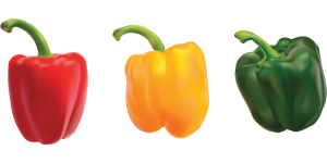 Hunde können Paprika jeder Farbe essen