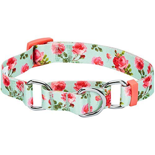 Blueberry Pet 7 Patterns Spring Scent Inspired Rose Print Safety Training Martingale Dog Collar, Turquoise, Medium, Heavy Duty 조정 가능한 칼라 개