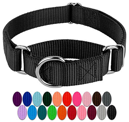 Country Brook Petz - zwarte Martingale Heavy Duty nylon halsband - 21 levendige kleuropties (1 inch breedte, medium)