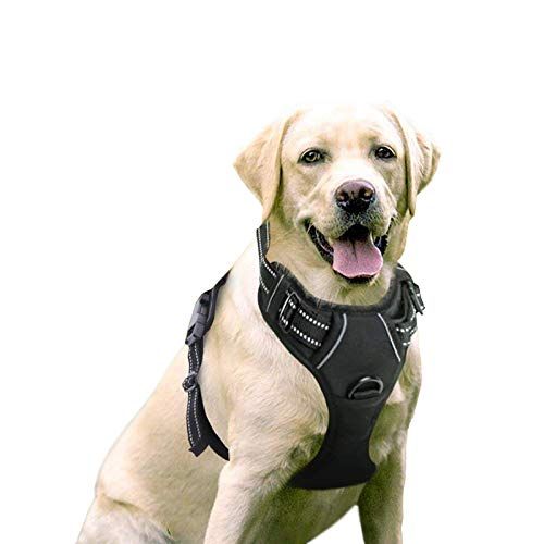 rabbitgoo Dog Harness, No-Pull Pet Harness with 2 Leash Clips, Adjustable Soft Padded Dog Vest, Reflective No-Choke Pet Oxford Vest, பெரிய நாய்களுக்கான எளிதான கட்டுப்பாட்டு கைப்பிடி, கருப்பு, L