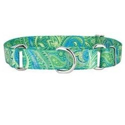 Country-Martingale-Collar