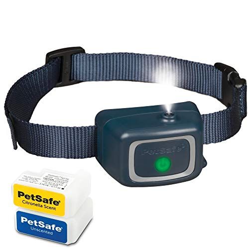 PetSafe Spray Bark Hundehalsbånd, Automatisk anti-bark enhed til hunde 8 lb. og op-Genopladelig og vandafvisende-Inkluderer Citronella og uparfumeret spraypåfyldning og USB-ladekabel