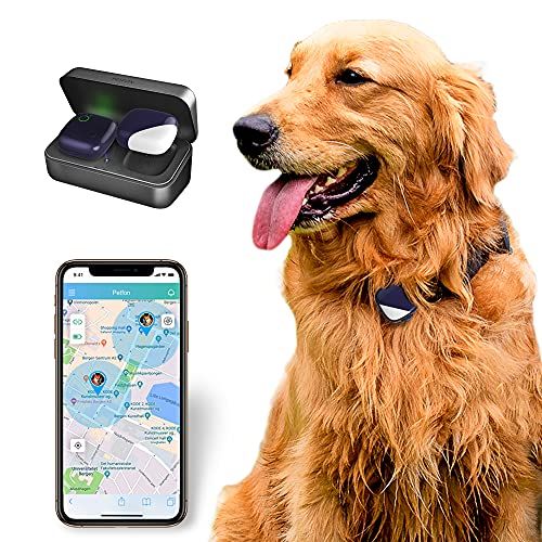 PETFON Pet GPS Tracker, keine monatliche Gebühr, Echtzeit-Tracking-Halsbandgerät, APP-Steuerung für Hunde- und Haustieraktivitätsmonitor
