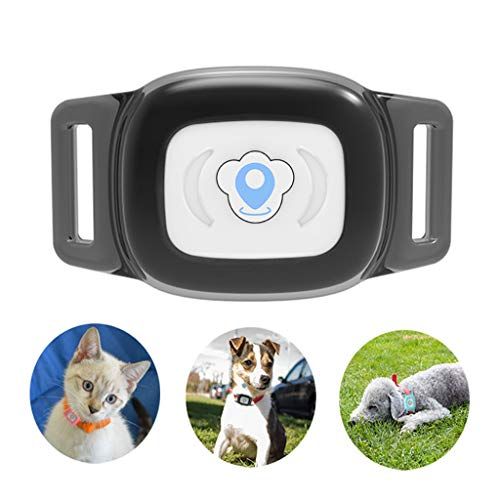 BARTUN GPS Pet Tracker, Cat Dog Tracking Device with Unlimited Range (Black)