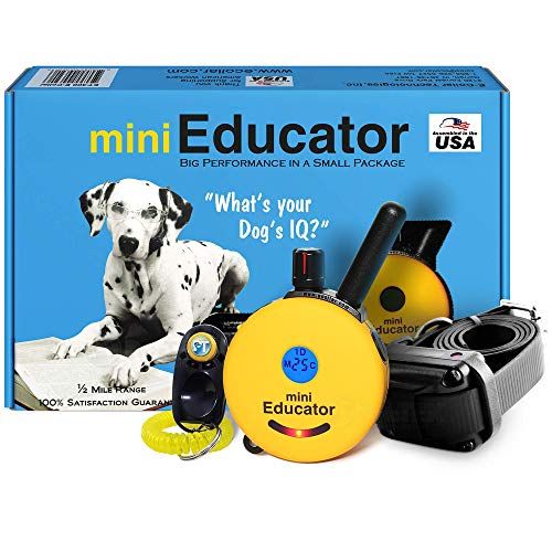 E-Halsband - ET-300 - 1/2 Meile Remote Wasserdichter Trainer Mini Educator Remote Trainingshalsband - 100 Trainingsstufen plus Vibration und Sound - Inklusive PetsTEK Dog Training Clicker