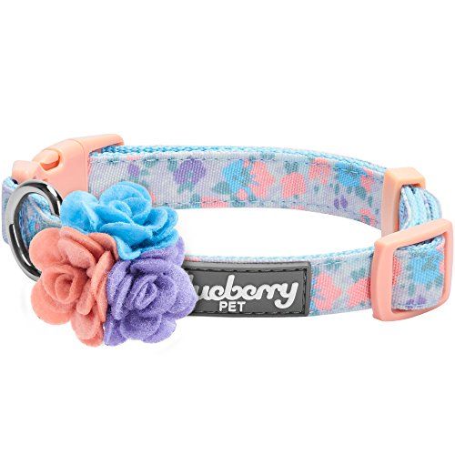 Blueberry Pet 5 patronen goed gemaakt Mooie verstelbare halsband met bloemenprint in lavendel met afneembaar bloemaccessoire, klein, nek 12