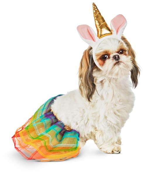 Einhorn Hund Halloween Kostüm