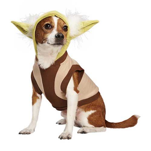 най -забавният костюм за Хелоуин за кучета