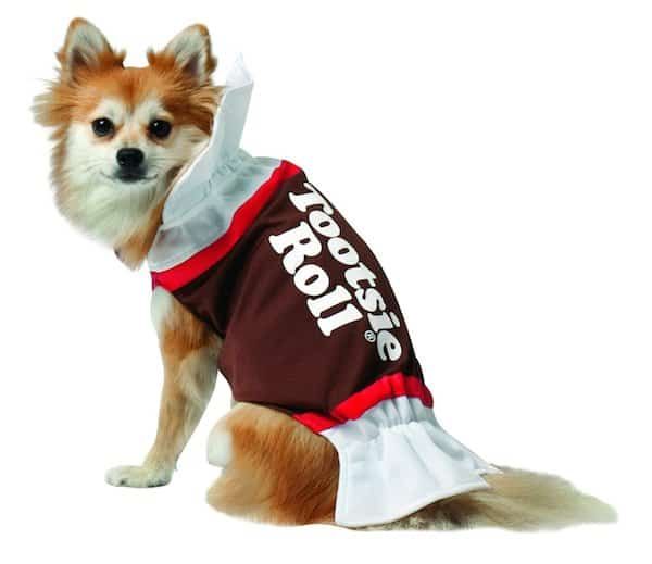 Halloween-Kostüme für Hunde