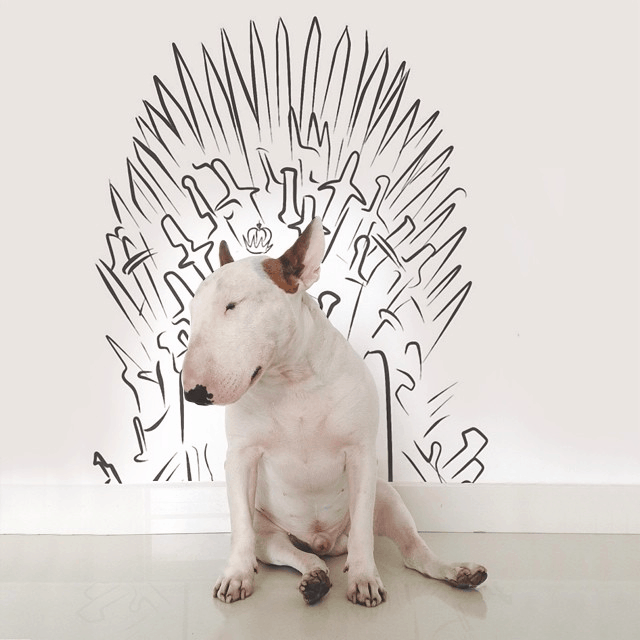 game-of-thrones-anjing
