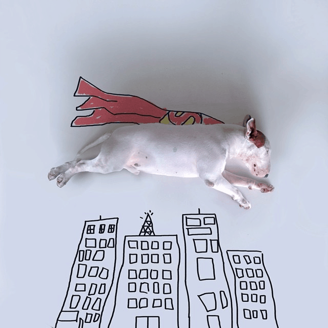 super-chien