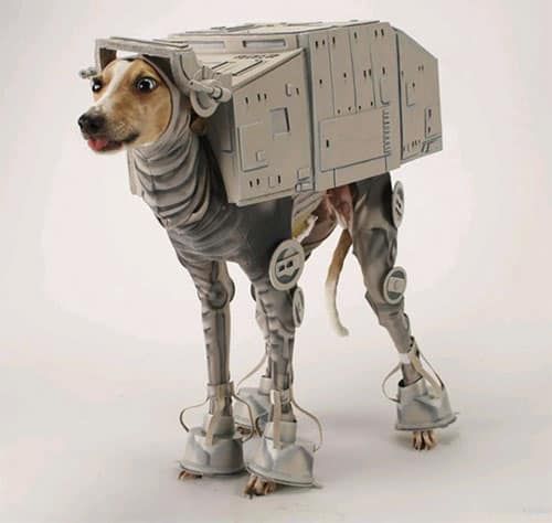 Hund Star Wars