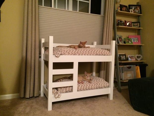 lits superposés pour chats