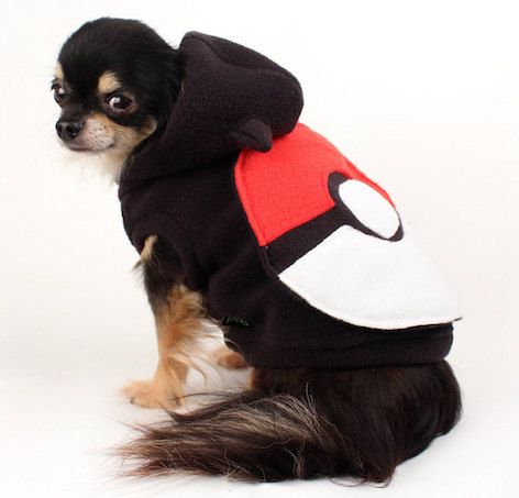 šuniškas pokemoninis megztinis