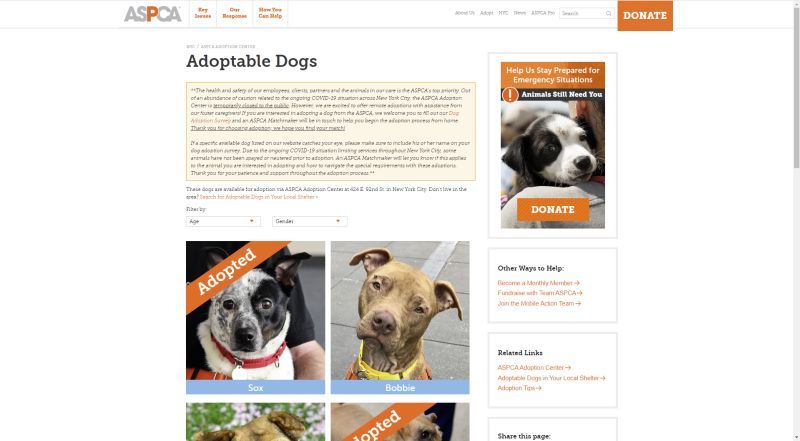 Уебсайт за приемане на ASPCA