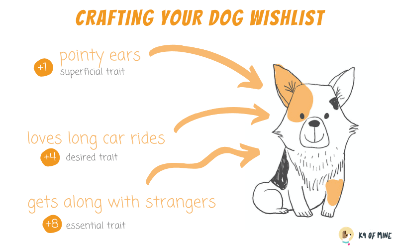 liste de souhaits de chien