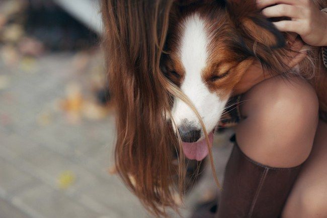 момиче се гушка с куче