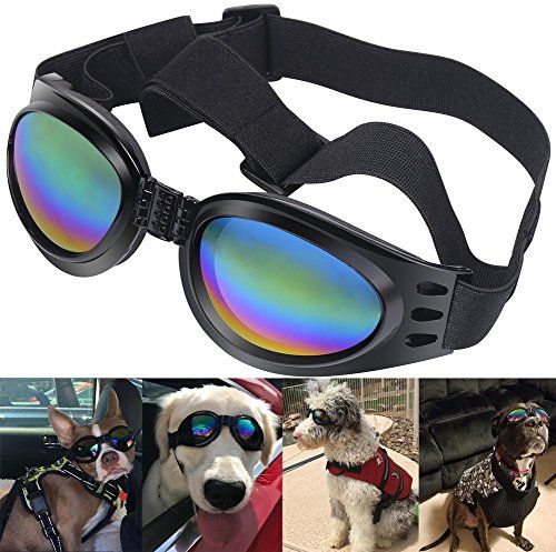 QUMY Dog Goggles Eye Wear Protection แว่นกันแดดสำหรับสัตว์เลี้ยงกันน้ำสำหรับสุนัขประมาณ 15 ปอนด์ (สีดำ)