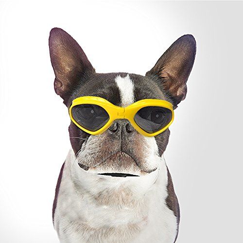 Psie okuliare Namsan UV slnečné okuliare pre psa Mops, vetruvzdorné okuliare pre stredné psy (žlté)