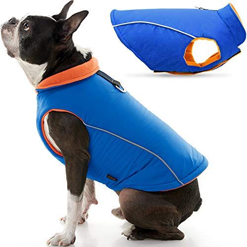 Gooby Sports Vest Dog Jacket - أزرق ، متوسط ​​- سترة عاكسة للكلاب مع مقود على شكل حرف D - سترة كلب صغير مبطنة بالصوف الدافئ ، وخطاف وإغلاق لولبي - ملابس للكلاب لسترة كلاب صغيرة أو فتى الكلاب