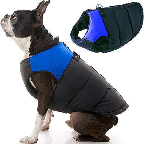 Яке за кучета с подплатена жилетка - синьо, голямо - топло яке от руно с цип с двойно каишка с D пръстен - зимен водоустойчив пуловер за малки кучета - дрехи за кучета за малки кучета и средни кучета