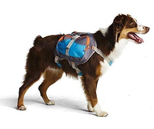 Cesar Millan hunde rygsæk stor blå