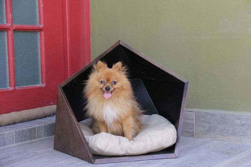 Дървено легло за кучешка къща