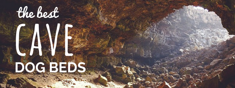 10 מיטות כלבי המערה הטובות ביותר: מיטות לקינון, לחיבוק ולהישאר נעים!
