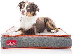 7 Καλύτερα Memory Foam Dog κρεβάτια: Το πιο άνετο κρεβάτι για τον σκύλο σας!