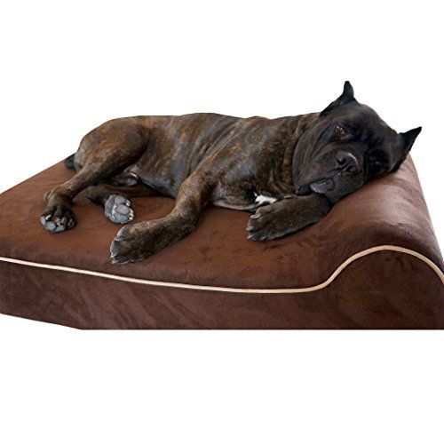 Bully Beds - Cama ortopédica de espuma viscoelástica para perros, camas de refuerzo impermeables para perros grandes y extra grandes, cama duradera para perros grandes (grande, chocolate)
