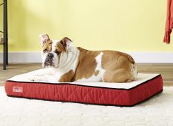 Žíhaná posteľ pre psa