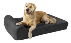 The Big Barker Dog Bed