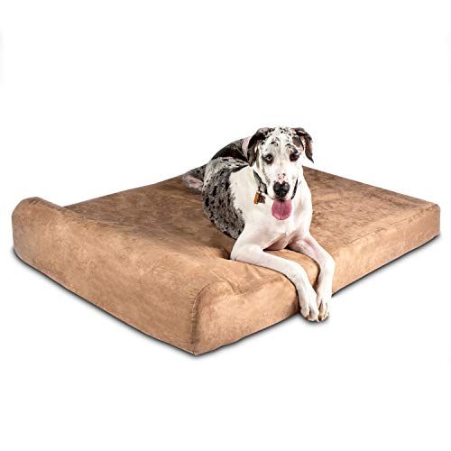 3 най -добри легла за кучета за дог: Избор на легла за гиганти