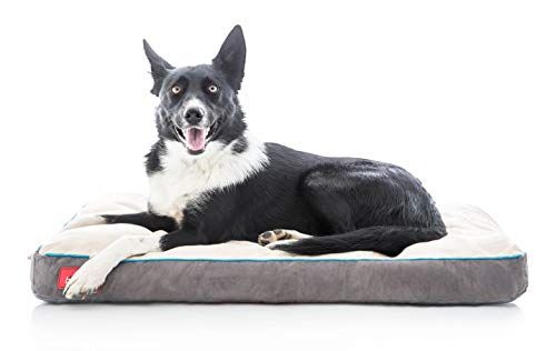 Tempat Tidur Anjing Foam Memori Berkilau Brindle dengan Tempat Tidur Pet Orthopedik Plastik Penutup Boleh Dilepas - 34 x 22 inci - Khaki