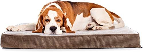Tempat Tidur Anjing Ortopedik Bersalut Milliard, Buih Egg Crate dengan Sarung Bantal Mewah yang Boleh Dibasuh (41 inci x 27 inci x 4 inci)