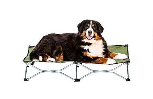 Carlson Продукти за домашни любимци Повишено легло за кучета, вътрешно или външно легло за кучета за големи кучета, зелено (8045)