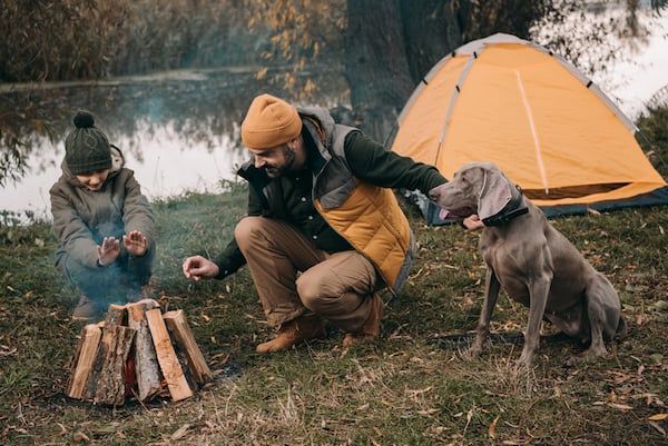hunde camping