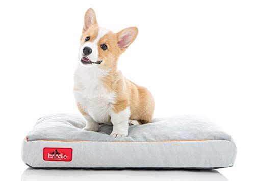 Brindle silputtu Memory Foam -koiran sänky, jossa irrotettava pestävä peitepehmusteinen ortopedinen lemmikkisänky - 22 x 16 tuumaa - kivi