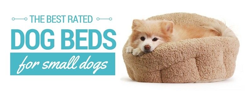kõige paremini hinnatud koera voodid väikestele koertele