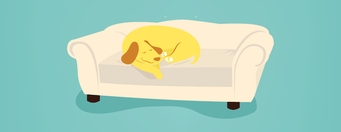 canapé lits pour chiens